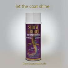 Load image into Gallery viewer, MR. GROOM SHOW GROOM FINISH SPRAY
